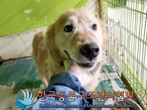 한국동물구조관리협회_411309202300233